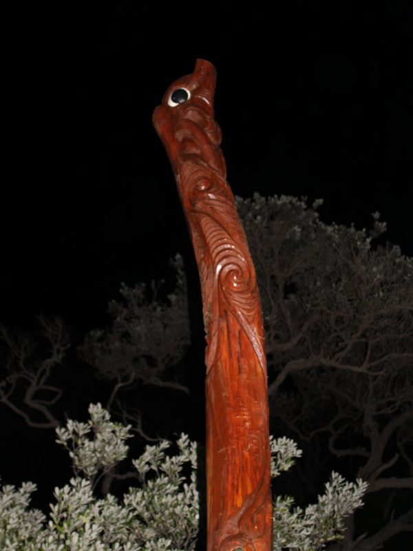 Te Pou Rangitapu sees its first daylight